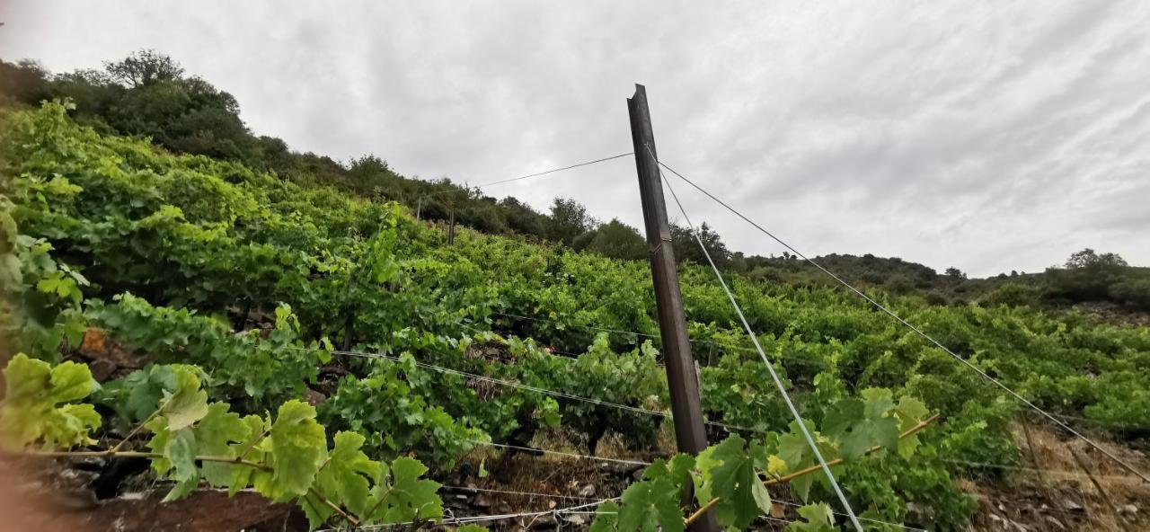 Vina Cazoga Villa Sober Luaran gambar