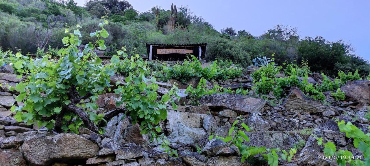 Vina Cazoga Villa Sober Luaran gambar