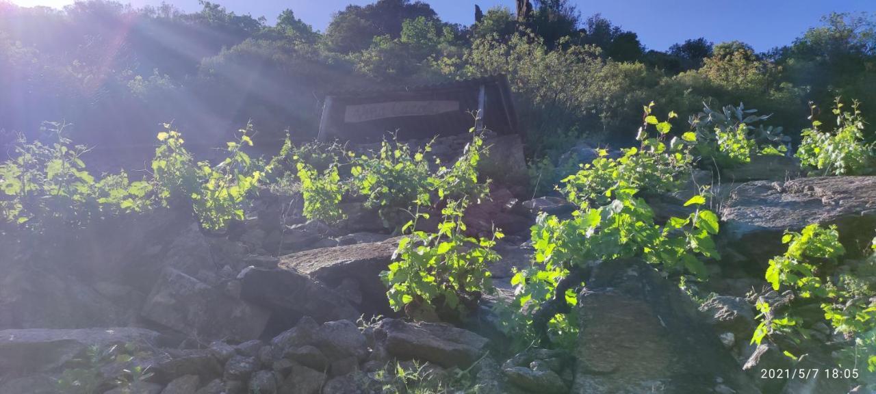 Vina Cazoga Villa Sober Luaran gambar